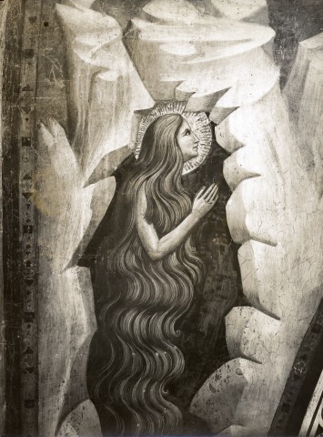 Anonimo — Giotto di Bondone - bottega - sec. XIV - Santa Maria Maddalena penitente — insieme